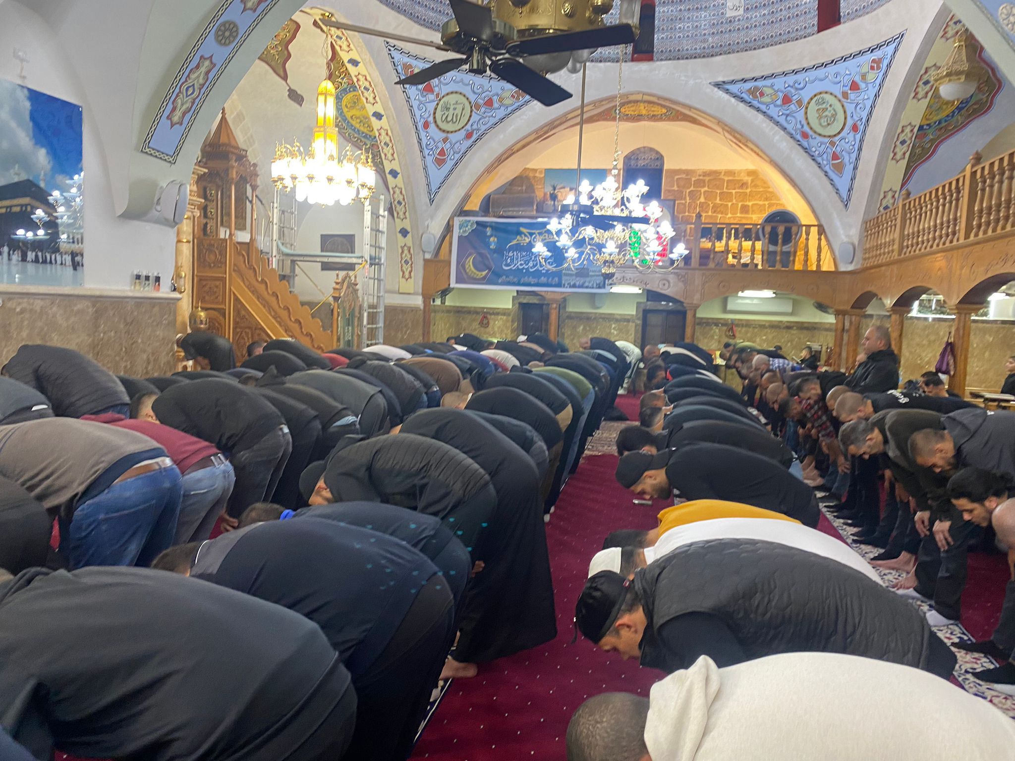 WhatsApp Image 2023-04-18 at 12.46.56 AM.jpeg